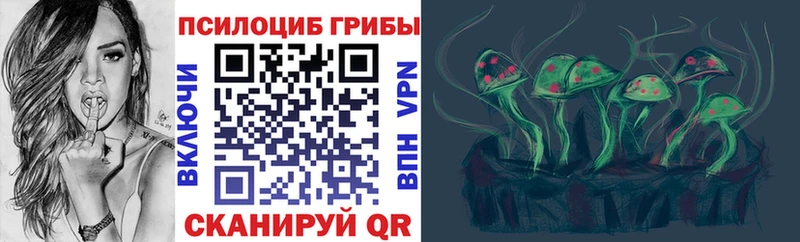 Псилоцибиновые грибы Cubensis  Лакинск 